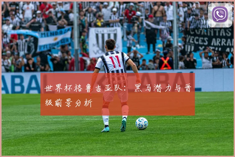 世界杯格鲁吉亚队：黑马潜力与晋级前景分析